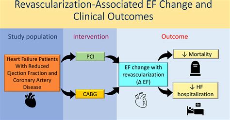 lvef explaining to patient.